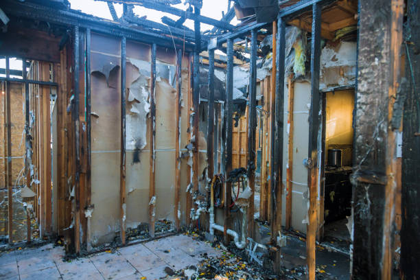 Professional Smoke Damage Removal technician working in Jamison, PA